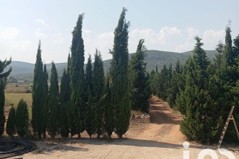 Купить земельный участок в Ульдекона, Испания 32675м², № 4827 - фото 7