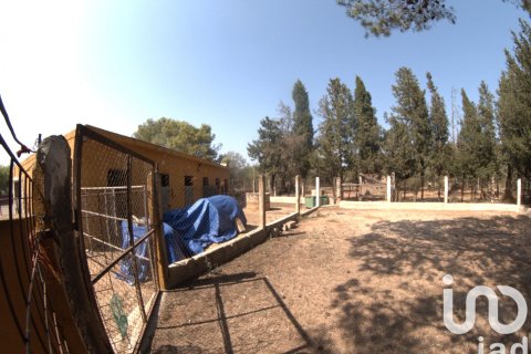 Купить земельный участок в Ульдекона, Испания 32675м², № 4827 - фото 29