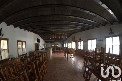 Купить земельный участок в Ульдекона, Испания 32675м², № 4827 - фото 9