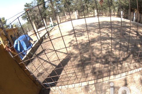 Купить земельный участок в Ульдекона, Испания 32675м², № 4827 - фото 28