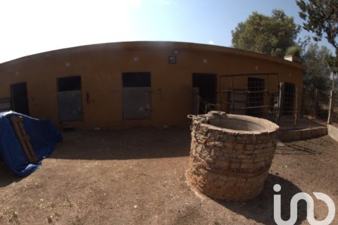 Купить земельный участок в Ульдекона, Испания 32675м², № 4827 - фото 30