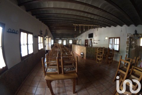 Купить земельный участок в Ульдекона, Испания 32675м², № 4827 - фото 15