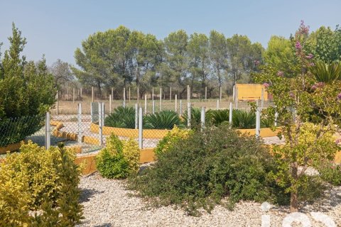 Купить земельный участок в Ульдекона, Испания 32675м², № 4827 - фото 6