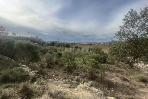 Parcela en venta en Vilafranca Del Penedes, Barcelona, Cataluña, Spain № 7004 - foto 2