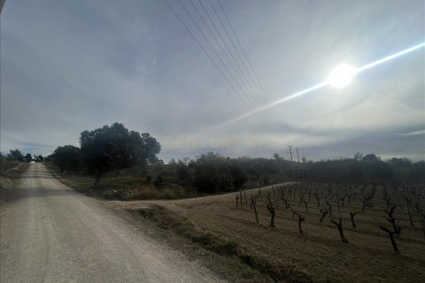 Parcela en venta en Vilafranca Del Penedes, Barcelona, Cataluña, Spain № 7004 - foto 7