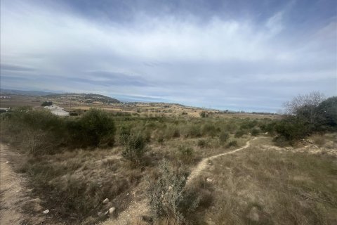 Parcela en venta en Vilafranca Del Penedes, Barcelona, Cataluña, Spain № 7004 - foto 4