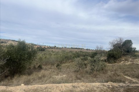 Parcela en venta en Vilafranca Del Penedes, Barcelona, Cataluña, Spain № 7004 - foto 3
