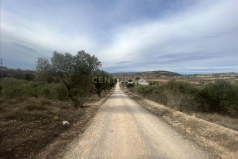 Parcela en venta en Vilafranca Del Penedes, Barcelona, Cataluña, Spain № 7004 - foto 6