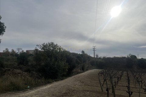 Parcela en venta en Vilafranca Del Penedes, Barcelona, Cataluña, Spain № 7004 - foto 8