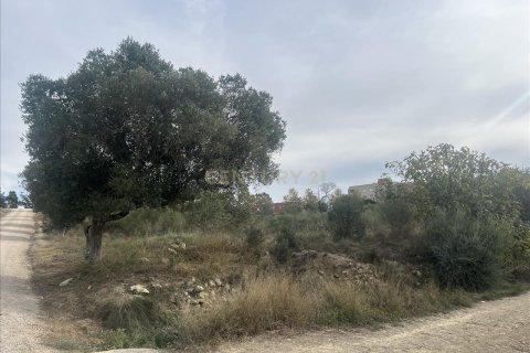 Parcela en venta en Vilafranca Del Penedes, Barcelona, Cataluña, Spain № 7004 - foto 9