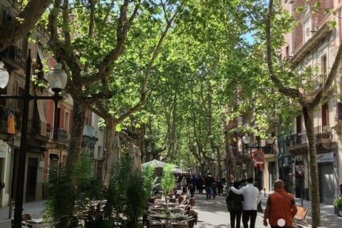 7 bedrooms cafe / restaurant for rent in Barcelona, Catalonia, Spain № 5149 - photo 4