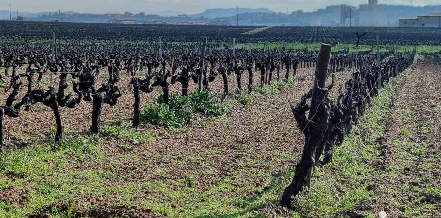 Земельный участок 1255м² в Санта-Маргарида-и-эль-Монжос, Барселона, Каталония, Испания № 4926