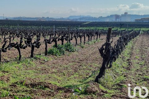 Купить земельный участок в Санта-Маргарида-и-эль-Монжос, Испания 1255м², № 4926 - фото 2