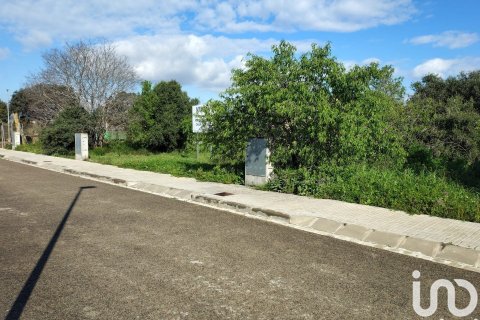 Купить земельный участок в Санта-Маргарида-и-эль-Монжос, Испания 1255м², № 4926 - фото 3