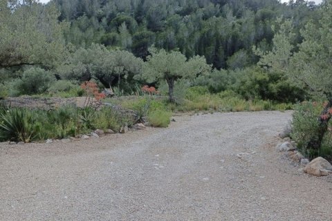 Купить дом в Камарлес, Испания с 6 спален, 350м², № 4888 - фото 23