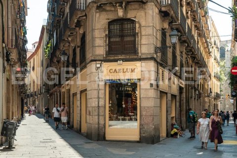 Купить коммерческую недвижимость в Старый город, Барселона, Испания 155м², № 2631 - фото 12