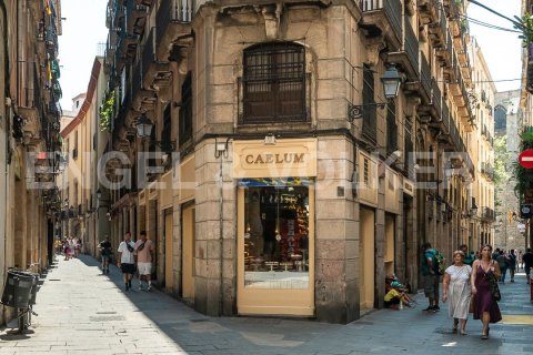 Купить коммерческую недвижимость в Старый город, Барселона, Испания 155м², № 2630 - фото 12
