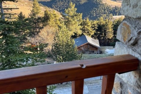 2731 sq.m. commercial property for sale in La Molina, Girona, Catalonia, Spain № 4942 - photo 23