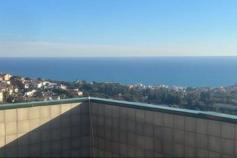 commercial property for sale in Teia, Barcelona, Catalonia, Spain № 5240 - photo 5