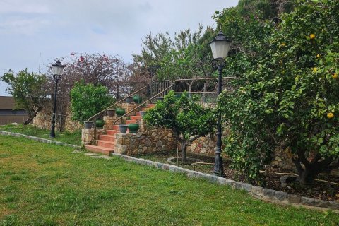 commercial property for sale in Teia, Barcelona, Catalonia, Spain № 5240 - photo 24