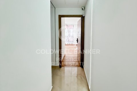 291 sq.m. commercial property for sale in Barcelona, Catalonia, Spain № 5559 - photo 22