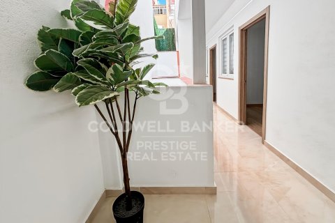 291 sq.m. commercial property for sale in Barcelona, Catalonia, Spain № 5559 - photo 3