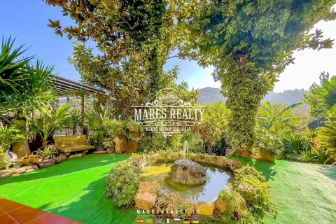 Купить таунхаус в Палафоллс, Испания с 3 спальни, 245м², № 3094 - фото 4