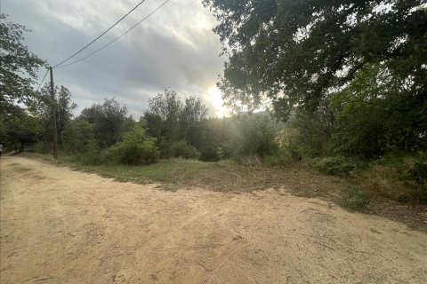 land plot for sale in Caldes de Montbui, Barcelona, Catalonia, Spain № 7023 - photo 13