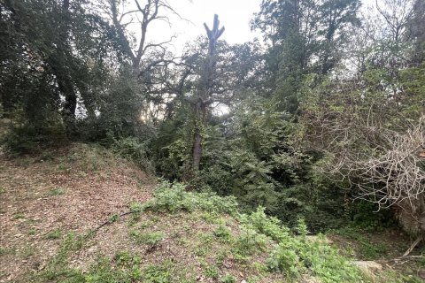 land plot for sale in Caldes de Montbui, Barcelona, Catalonia, Spain № 7023 - photo 19