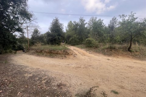 land plot for sale in Caldes de Montbui, Barcelona, Catalonia, Spain № 7023 - photo 16