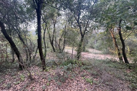 land plot for sale in Caldes de Montbui, Barcelona, Catalonia, Spain № 7023 - photo 22