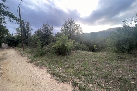 land plot for sale in Caldes de Montbui, Barcelona, Catalonia, Spain № 7023 - photo 12