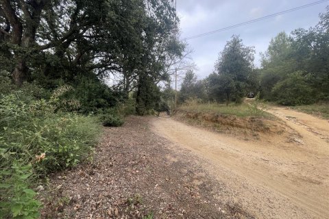 land plot for sale in Caldes de Montbui, Barcelona, Catalonia, Spain № 7023 - photo 15