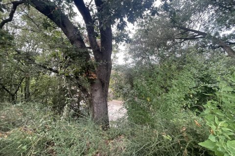 land plot for sale in Caldes de Montbui, Barcelona, Catalonia, Spain № 7023 - photo 14
