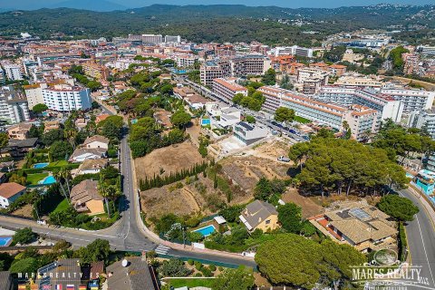 Купить земельный участок в Льорет-де-Мар, Испания 807м², № 970 - фото 2