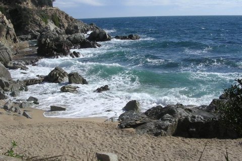 Купить земельный участок в Льорет-де-Мар, Испания 807м², № 970 - фото 6