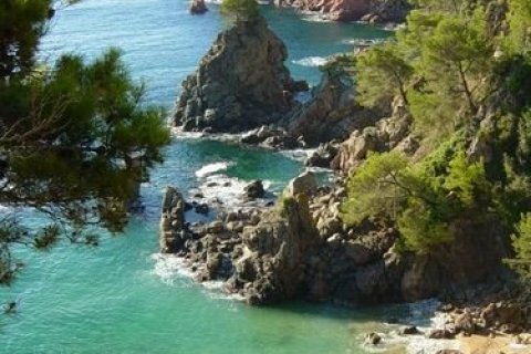 Купить земельный участок в Льорет-де-Мар, Испания 807м², № 970 - фото 7