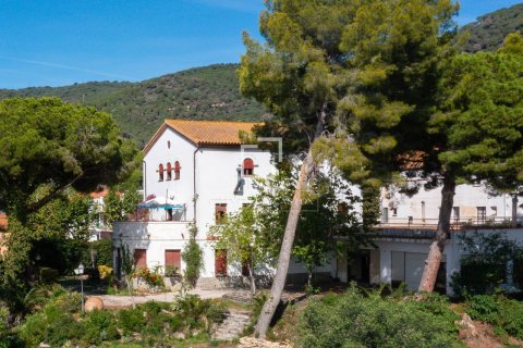 9 chambres villa à vendre à Premia De Dalt, Barcelona, Catalonia, Spain № 4502 - photo 22