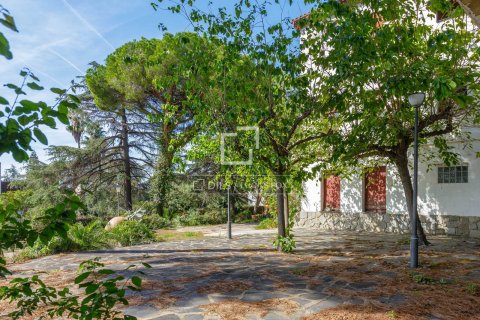 9 chambres villa à vendre à Premia De Dalt, Barcelona, Catalonia, Spain № 4502 - photo 6
