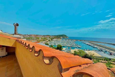 Купить квартиру в Паламос, Испания с 4 комнаты, № 1609 - фото 28