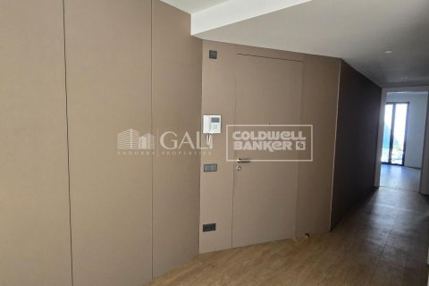 2 chambres apartment à louer à Principado De Andorra (Ninguna Poblacion Tiene C.P.), Lleida, Catalonia, Spain № 6106 - photo 4