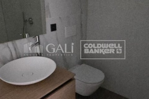 2 chambres apartment à louer à Principado De Andorra (Ninguna Poblacion Tiene C.P.), Lleida, Catalonia, Spain № 6106 - photo 11