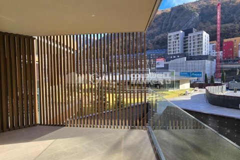 2 chambres apartment à louer à Principado De Andorra (Ninguna Poblacion Tiene C.P.), Lleida, Catalonia, Spain № 6106 - photo 15