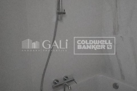 2 chambres apartment à louer à Principado De Andorra (Ninguna Poblacion Tiene C.P.), Lleida, Catalonia, Spain № 6106 - photo 10