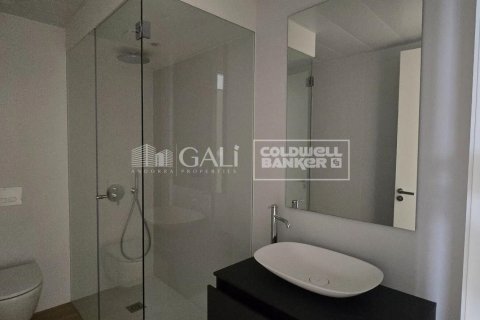 2 chambres apartment à louer à Principado De Andorra (Ninguna Poblacion Tiene C.P.), Lleida, Catalonia, Spain № 6106 - photo 9