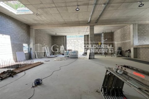 310 m² commercial property à louer à Principado De Andorra (Ninguna Poblacion Tiene C.P.), Lleida, Catalonia, Spain № 6109 - photo 9