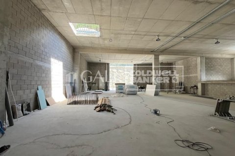 310 m² commercial property à louer à Principado De Andorra (Ninguna Poblacion Tiene C.P.), Lleida, Catalonia, Spain № 6109 - photo 5