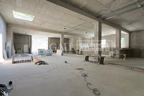 310 m² commercial property à louer à Principado De Andorra (Ninguna Poblacion Tiene C.P.), Lleida, Catalonia, Spain № 6109 - photo 17