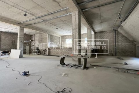 310 m² commercial property à louer à Principado De Andorra (Ninguna Poblacion Tiene C.P.), Lleida, Catalonia, Spain № 6109 - photo 3