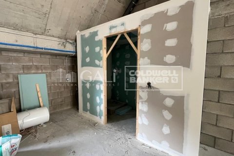 310 m² commercial property à louer à Principado De Andorra (Ninguna Poblacion Tiene C.P.), Lleida, Catalonia, Spain № 6109 - photo 7